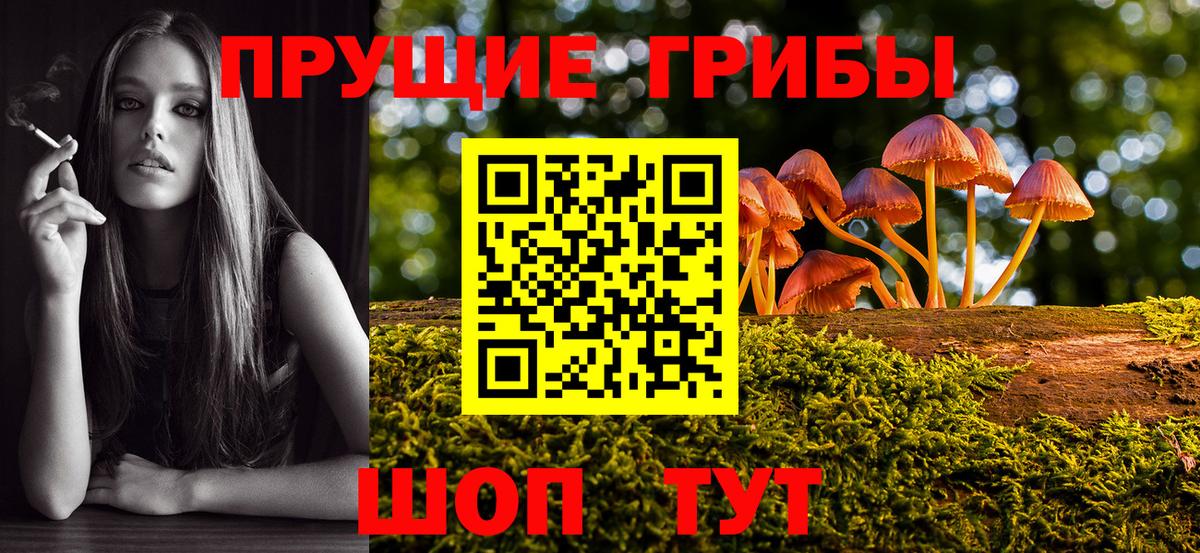 Мелеуз  цены   Вход с VPN  Галлюциногенные грибы MAGIC MUSHROOMS 